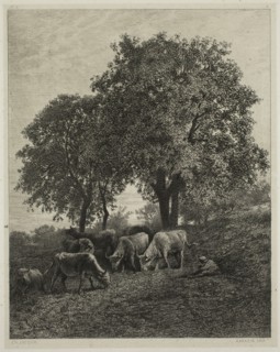 Charles Émile Jacque, French, 1813-1894, Le repose, between 1840 and 1860, etching printed in black