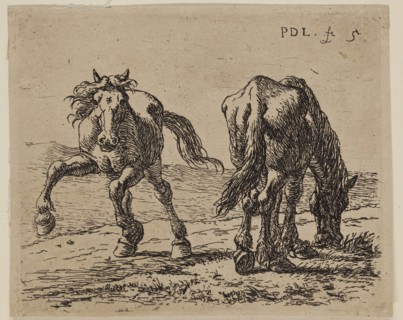 Pieter de Laer, Dutch, 1592-1642, Two Horses at Pasture, between 1592 and 1642, etching printed in