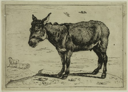 Govaert van der Leeuw, Dutch, 1645-1688, The Ass, 17th century, etching printed in black ink on