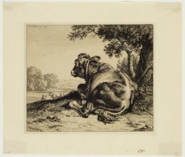 Johann Christian Reinhart, German, 1761-1847, Landscape with Calf, 1794, etching printed in black