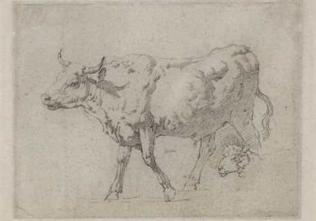 Jean Jacques de Boissieu, French, 1736-1810, An Ox and a Head of a Sheep, between 1736 and 1810,