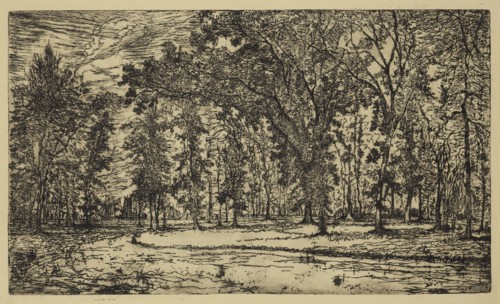 George W. Clark, American, Forest of Belle Isle Park - Detroit, 1893, etching printed in black ink