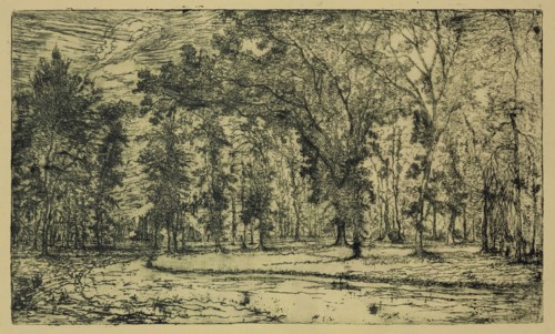 George W. Clark, American, Forest of Belle Isle Park - Detroit, 1893, etching printed in black ink
