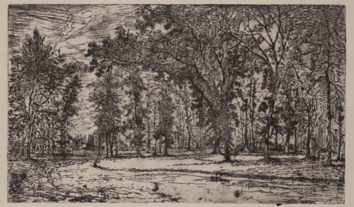 George W. Clark, American, Forest of Belle Isle Park - Detroit, 1893, etching printed in black ink