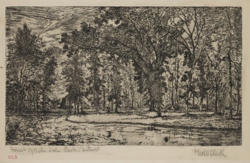 George W. Clark, American, Forest of Belle Isle Park - Detroit, 1893, etching printed in black ink
