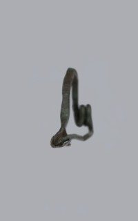 Arched fibula. Fibula with an arched bow; the pin emerges from a double-coiled spring. The sheath