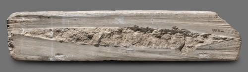 Fragments of wall decoration from the mastaba of the dignitary Tepemankh; Niuserre ruler of Egypt;