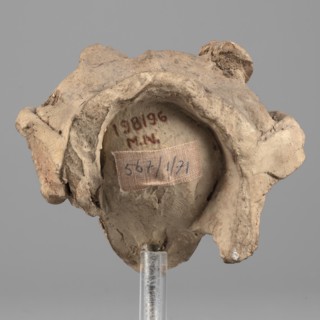 Head of Dionysus, A small terracotta head of Dionysus, part of a larger lost sculpture. The figure