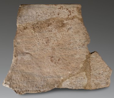 Fragment of a sarcophagus depicting a married couple, unknown Roman workshop; relief of marriage