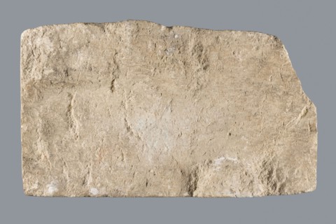 Slab with a Latin votive inscription for Fortuna Conservatrix, Caius Iulius Maianus commissioner,