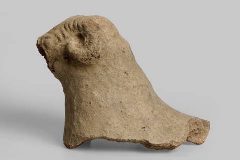 Fragment of a ram figurine preserved from half the snout to the neck and a small piece of the back.