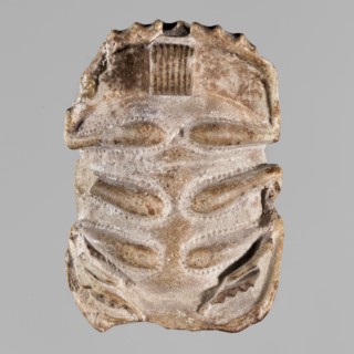 Scarab with naturalistic modeling; protective amulet depicting a sacred animal; amulet scarab;