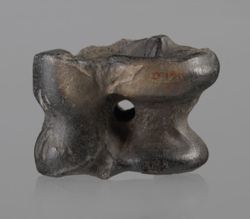 Cow astragal condylo-talus bone from a cow, with a regular hole drilled in the center. Hellenistic