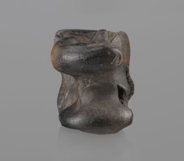 Cow astragal, Myrmekion Crimea, Hellenistic period, bones, cow astragal condylo-talus bone with a