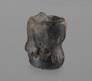 Cow astragal condylo-talus bone from a cow, with a regular hole drilled in the center., Myrmekion