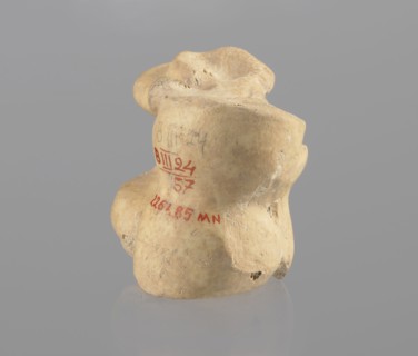 Astragalus of a cow, Myrmekion Crimea, Hellenistic period, astragalus condylo-talus bone of a cow,