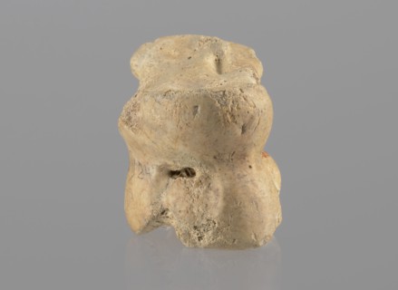 Cow astragal, Myrmekion Crimea, Hellenistic period, antiquity, cow astragal condylo-talus bone,