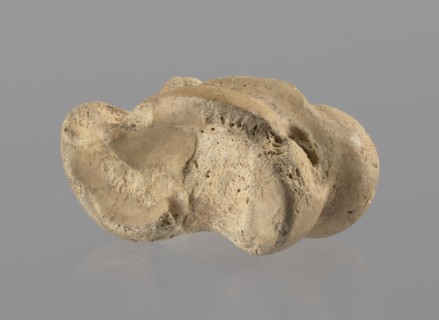 Cow astragal, Myrmekion Crimea, Hellenistic period, antiquity, bones, cow astragal condylo-talus