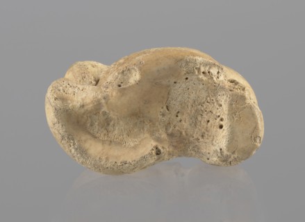 Cow astragal, Myrmekion Crimea, Crimea Ukraine, Hellenistic period, bones, cow astragal