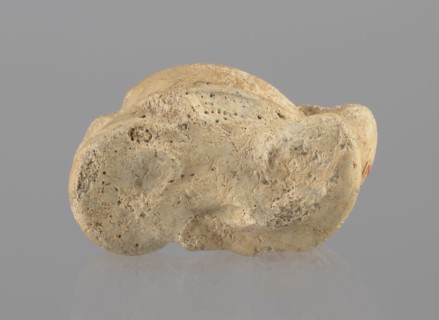 Cow astragal, Myrmekion Crimea, Crimea Ukraine, Hellenistic period, antiquity, bone condylo-talus,