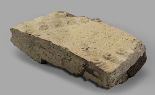 Fragment of a brick with relief decoration. Element of an unglazed panel with a depiction of a bull