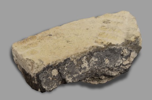Fragment of a brick with relief decoration. Element of an unglazed panel with a depiction of a bull