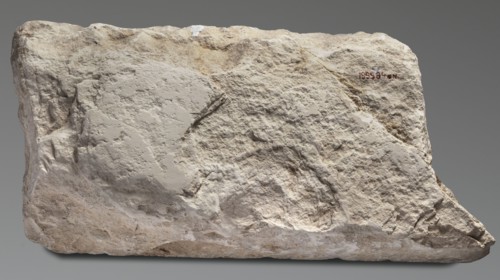 Relief from the mortuary temple of Niuserre, Niuserre ruler of Egypt; ca. 2445–2421 BC, restitution
