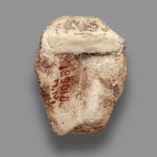 Fragment of a figurine. Oval male face with a protruding chin, small mouth, straight nose, and