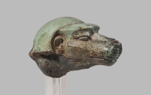 Fragment of a baboon figurine - head; head of a baboon with an elongated snout, precisely modelled