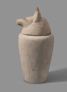 Canopic jar with a jackal's head, canopic jar, jackals, Duamutef mythology. The vessel widens