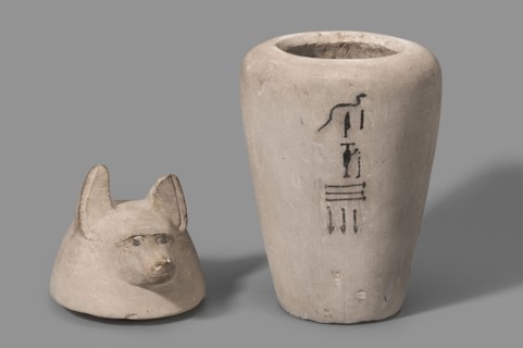 Canopic jar with a jackal's head, canopic jar, jackals, Duamutef mythology. The vessel widens