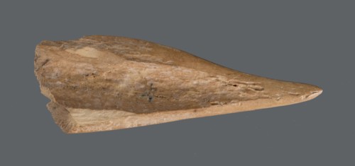 Awl, Tools; awl made from a cut triangular, flat fragment of animal bone. The elongated, sharpened
