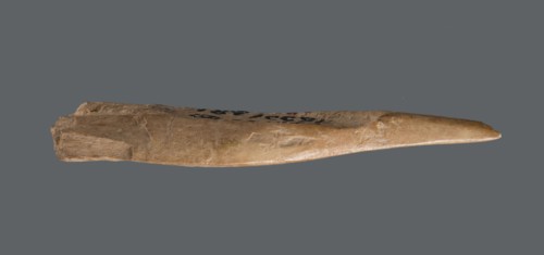 Awl, Tools; awl made from a cut triangular, flat fragment of animal bone. The elongated, sharpened