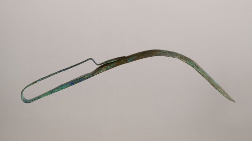 Scraper, Metal scraper with a typical, slightly curved shape consisting of a handle and a blade