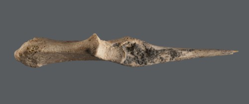 Awl made of unworked animal bone with a sharpened end for piercing materials fabrics or leather; ca