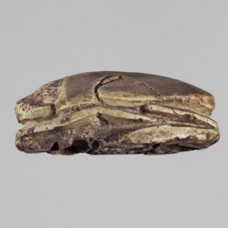 Scarab with the name Menkheperre. Protective amulet scarab with a decorated top engraved with a