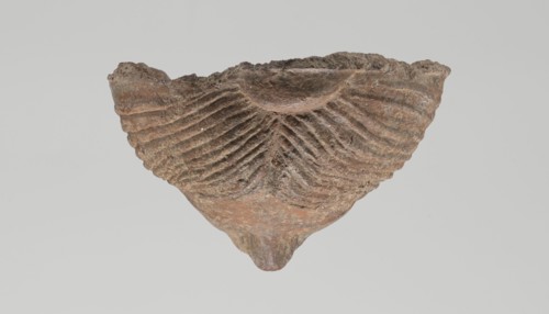 Female votive head. Female head with long, straight hair falling to the shoulders. Neck partially
