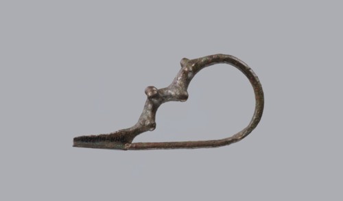 Fibula a Drago, One-piece bronze fibula with an arched ring of circular cross-section bearing four