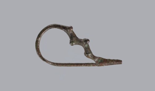 Fibula a Drago, One-piece bronze fibula, with an arched ring of circular cross-section bearing 4