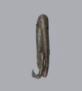 Arched fibula. One-piece fibula with an arched bow made of a round bar, decorated with groups of