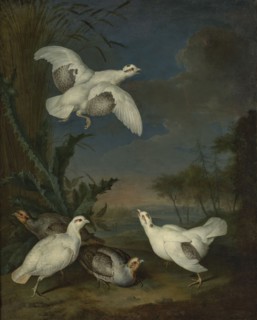Ptarmigan against a Landscape, Witte, L. de fl. ca 1700–1750 painter. Dark tone. Dark sapphire sky