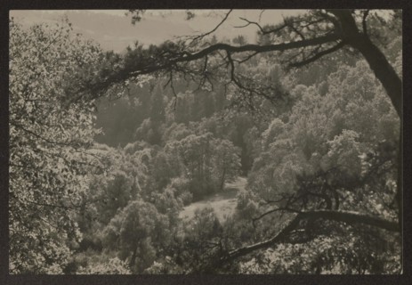 Vilnius, vicinity of Pushkarnia; photographer Jan Bulhak 1876–1950; Pushkarnia and Nowa Wilejka
