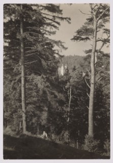 Trynopol Forest and Kalwaria, Bulhak, Jan 1876–1950 photographer, Kalwaria Wilenska Vilnius; Werki,