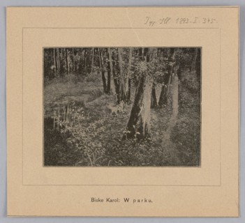 Reproduction of a painting: Karol Biske 1863–1928, In the Park; painting; Polish painting;