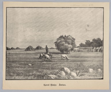 Reproduction of a painting: Karol Biske 1863–1928, Harvest; painting, Polish painting, sheep,