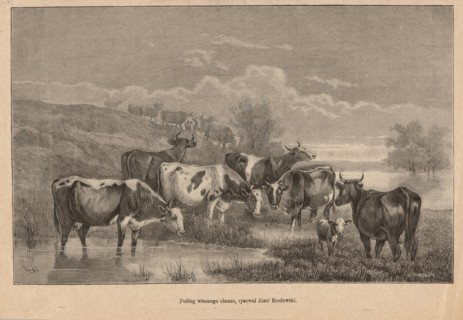 Fudge; painting reproduction after Brodowski, Józef 1828–1900; woodcut by Choromanski, A. fl.
