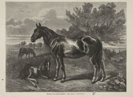 Reproduction of a painting: Józef Brodowski 1828–1900, Horses in the Pasture; 1873; painting;