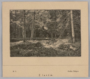 Reproduction of a drawing: Feliks Brzozowski 1836–1892, From the Forests, painting; reproduction;