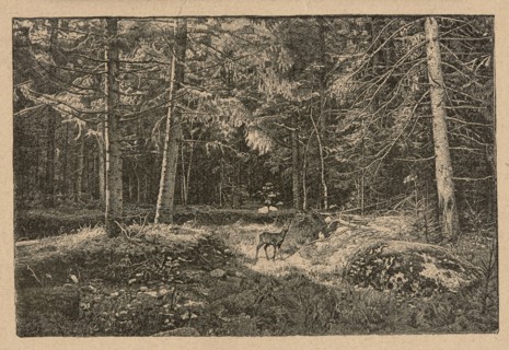 Reproduction of a drawing: Feliks Brzozowski 1836–1892, From the forests; painting; Polish