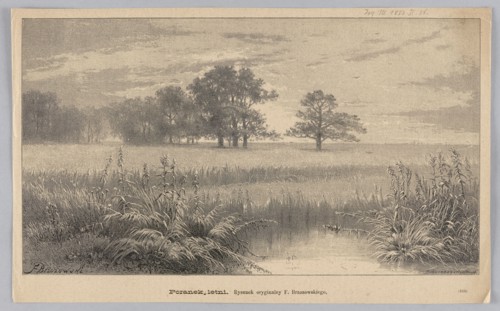Summer Morning; 1883; drawing by Feliks Brzozowski 1836–1892, reproduction by C. Angerer & Göschl